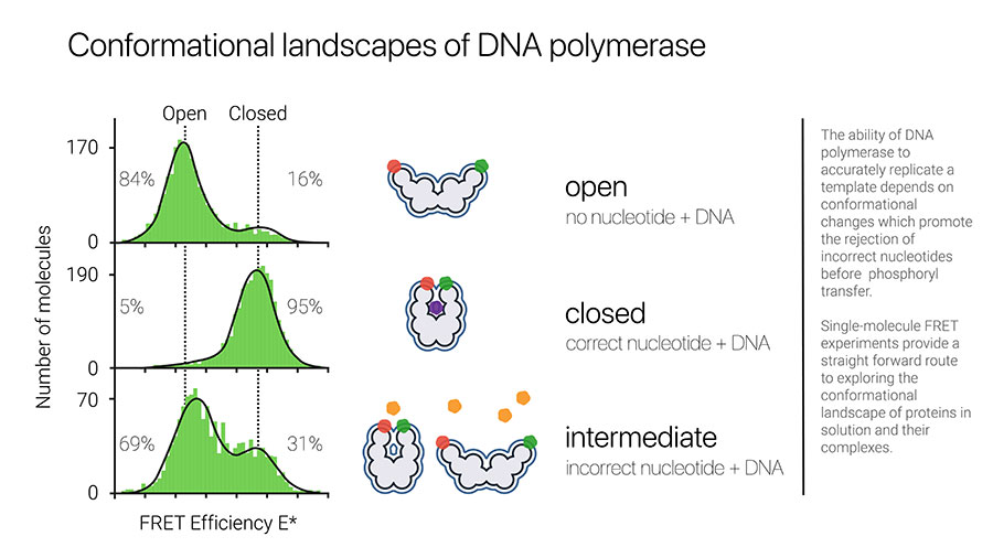 Protein conformational landscapes