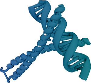 Protein interacttions