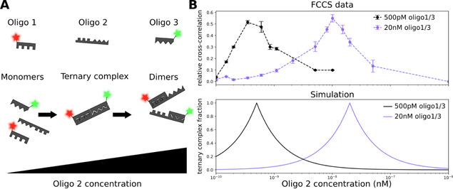 Image showing hook plots generated for an oligo model ternary complex via FCCS on the EI-FLEX Pro System