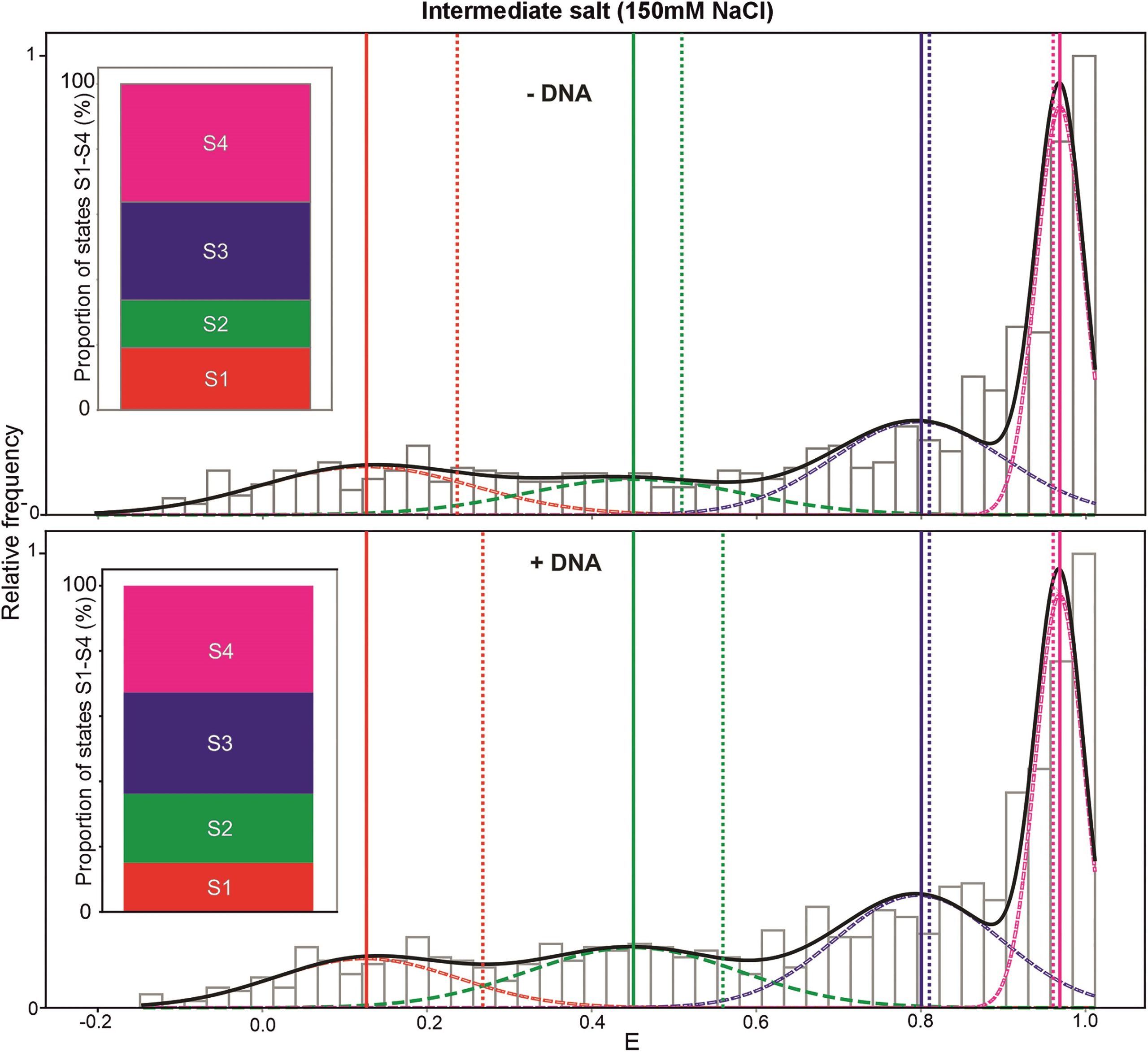 example of dna-protein interactions