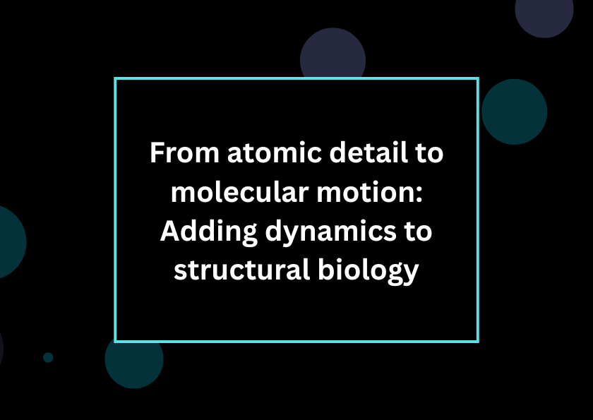 From atomic detail to molecular motion: Adding dynamics to structural biology