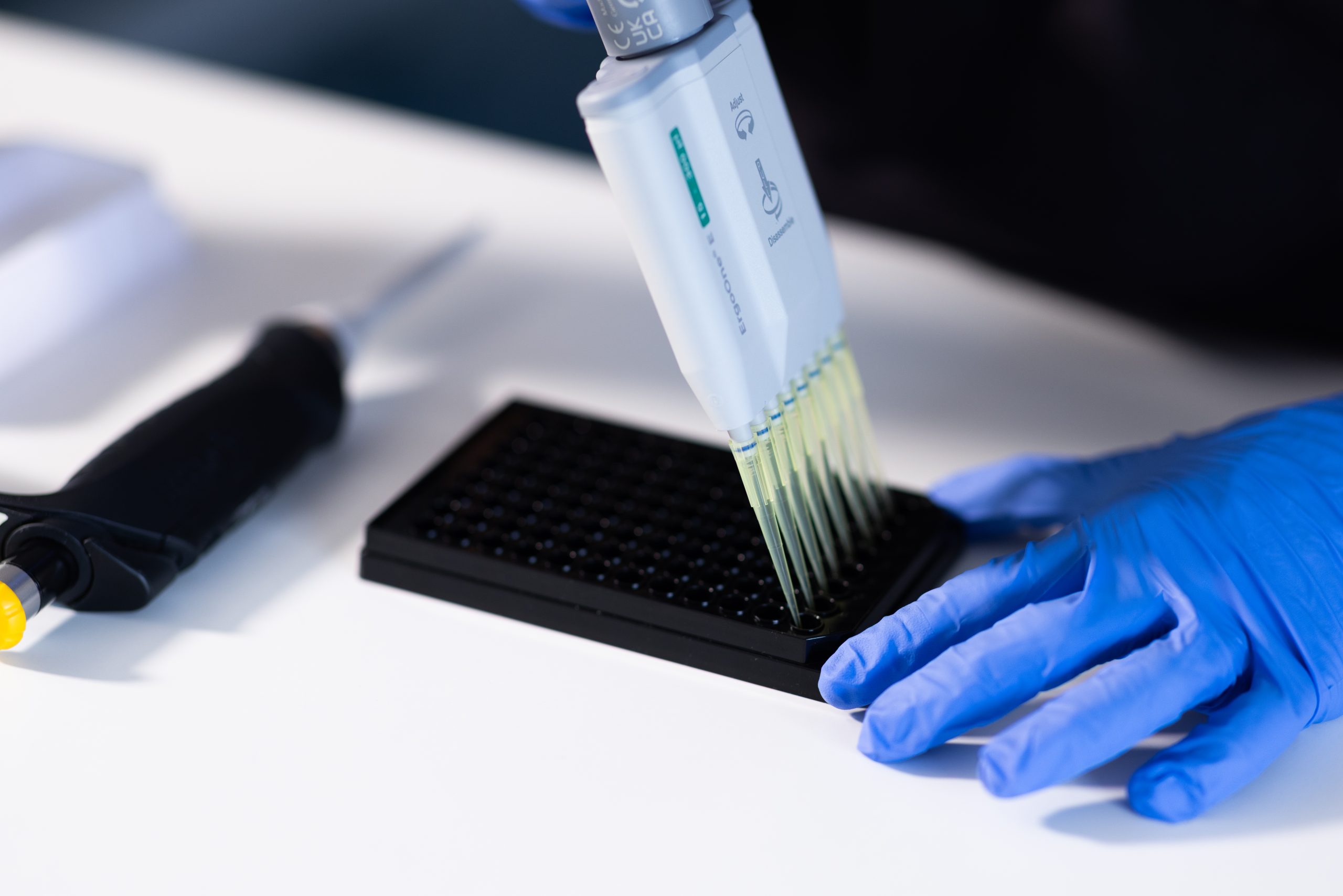 Researcher working in lab