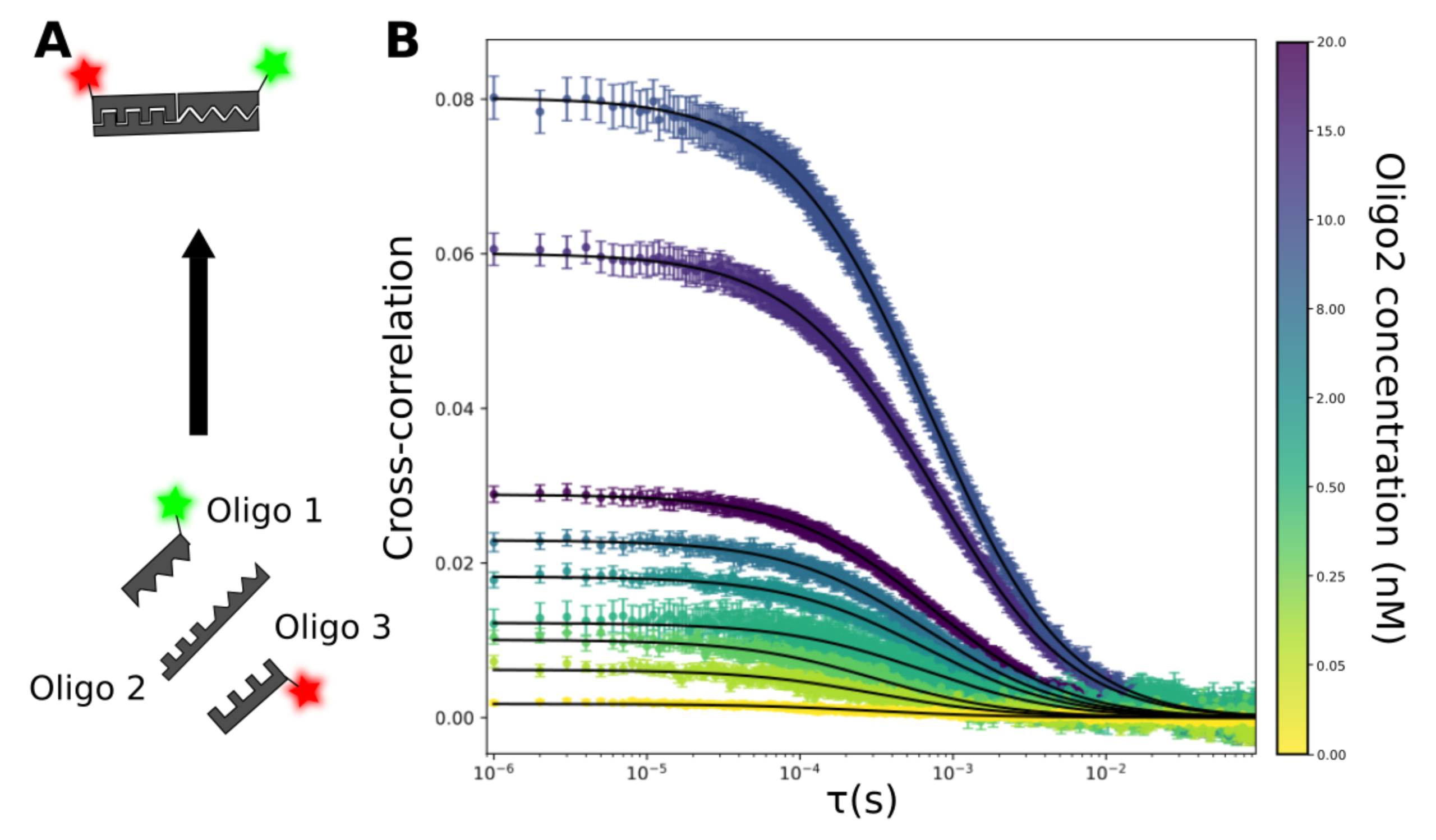 ternary complex formation using DNA oligos