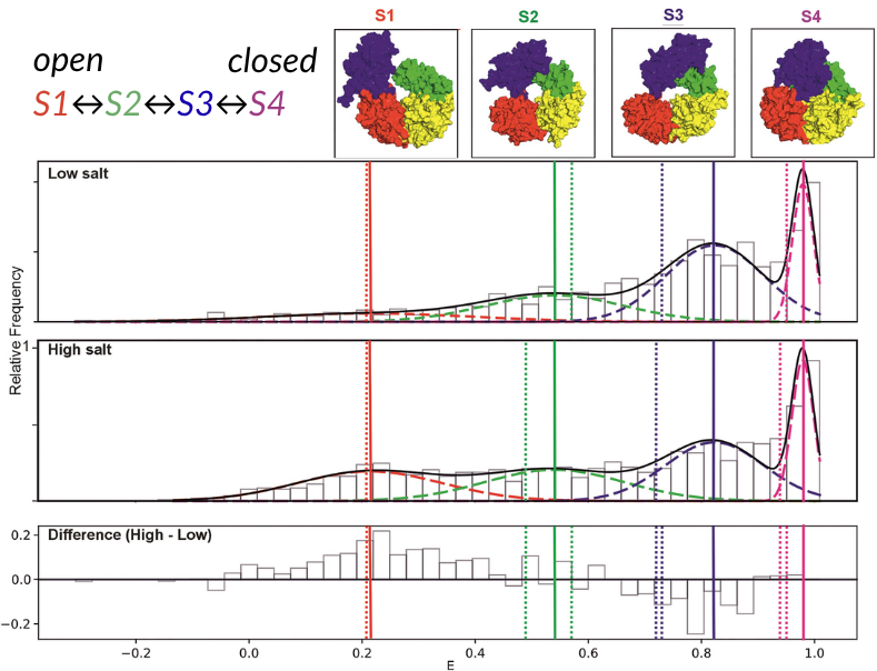 FRET efficiency histograms depicting four conformational states, the proportions of which are influenced by salt concentrations.