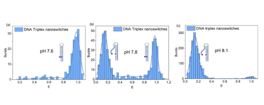 Figures showing smFRET revealing heterogeneity in pH-responsive DNA nanoswitches