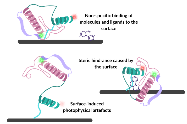 A series of surface-induced artefacts for immobilised assays: non-specific binding, steric hindrance and photophysical artefacts.