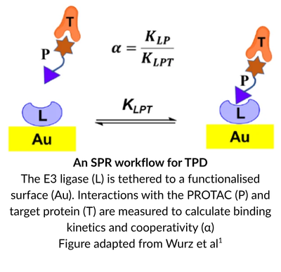An illustrative image of an SPR workflow for a PROTAC ternary complex.
